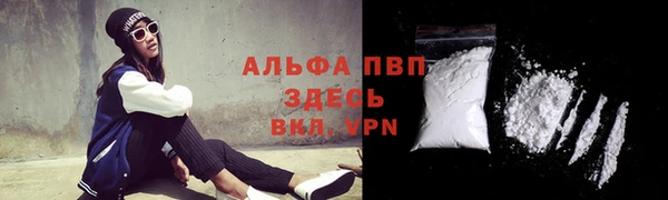 стаф Аркадак