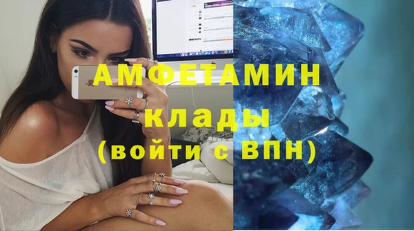 стаф Аркадак