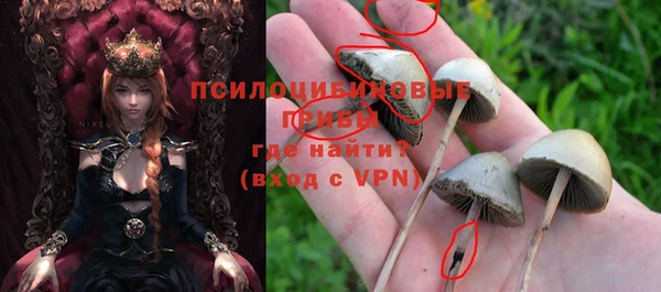 эйфоретик Армянск